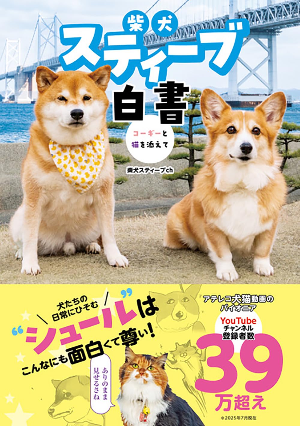 Amazon.co.jp: 柴犬スティーブch: 本、バイオグラフィー、最新