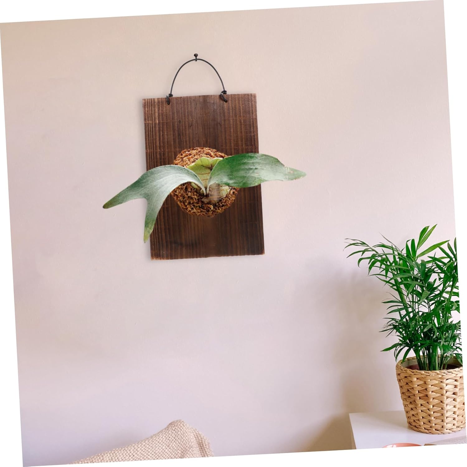 Wooden Hanging Plaque for Plants Rustic Wood Sign Decor for Staghorn Ferns Succulents Space-Saving Planting Board for Indoor Gardens Durable Solid Wood for Balconies Living Rooms and Cafes