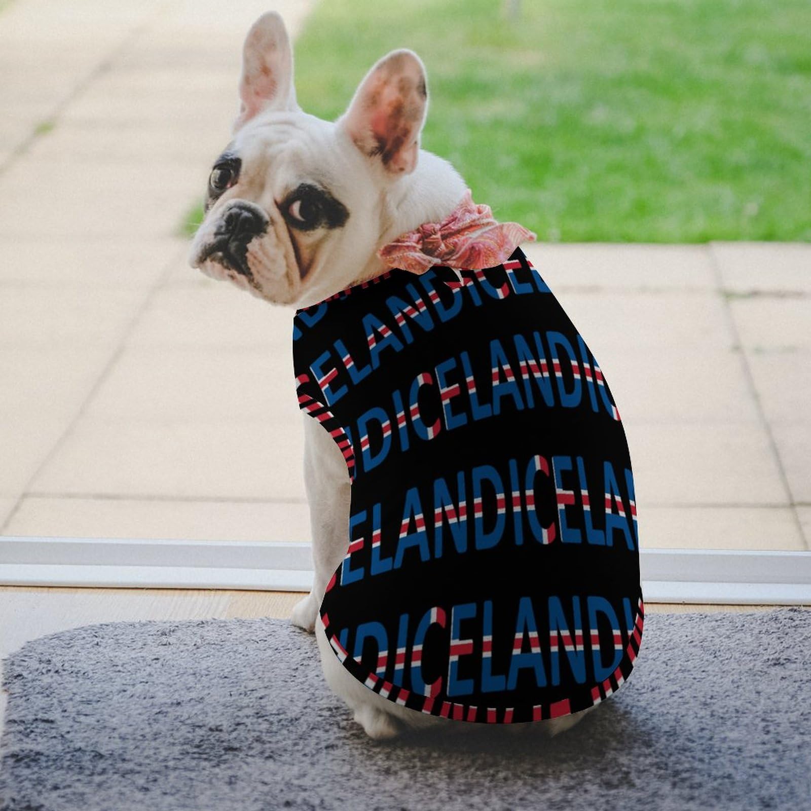 Welsh-Hund T-Shirt Mit Flagge – Atmungsaktiv, Für Kleine Hunde & Katzen, Waschbar