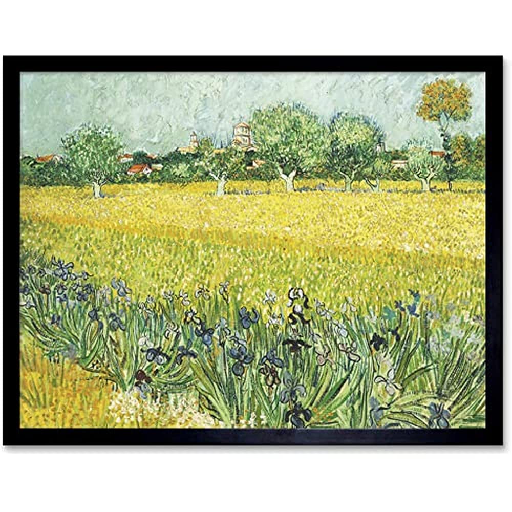 Vincent Van Gogh Veld Met Bloemen Bij Arles Unframed Wall Art Print Poster Home Decor Premium