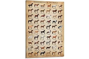 Horse Knowledge Horse Breeds of The World Poster Framed