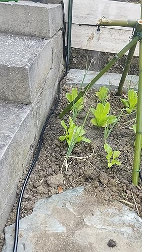 Kazeila irrigatietimer, irrigatie, IPX5, waterdicht, automatische sproeier, handmatig, met groot lcd-display, eenvoudige installatie voor balkon, tuin, bed, boerderij, buiten