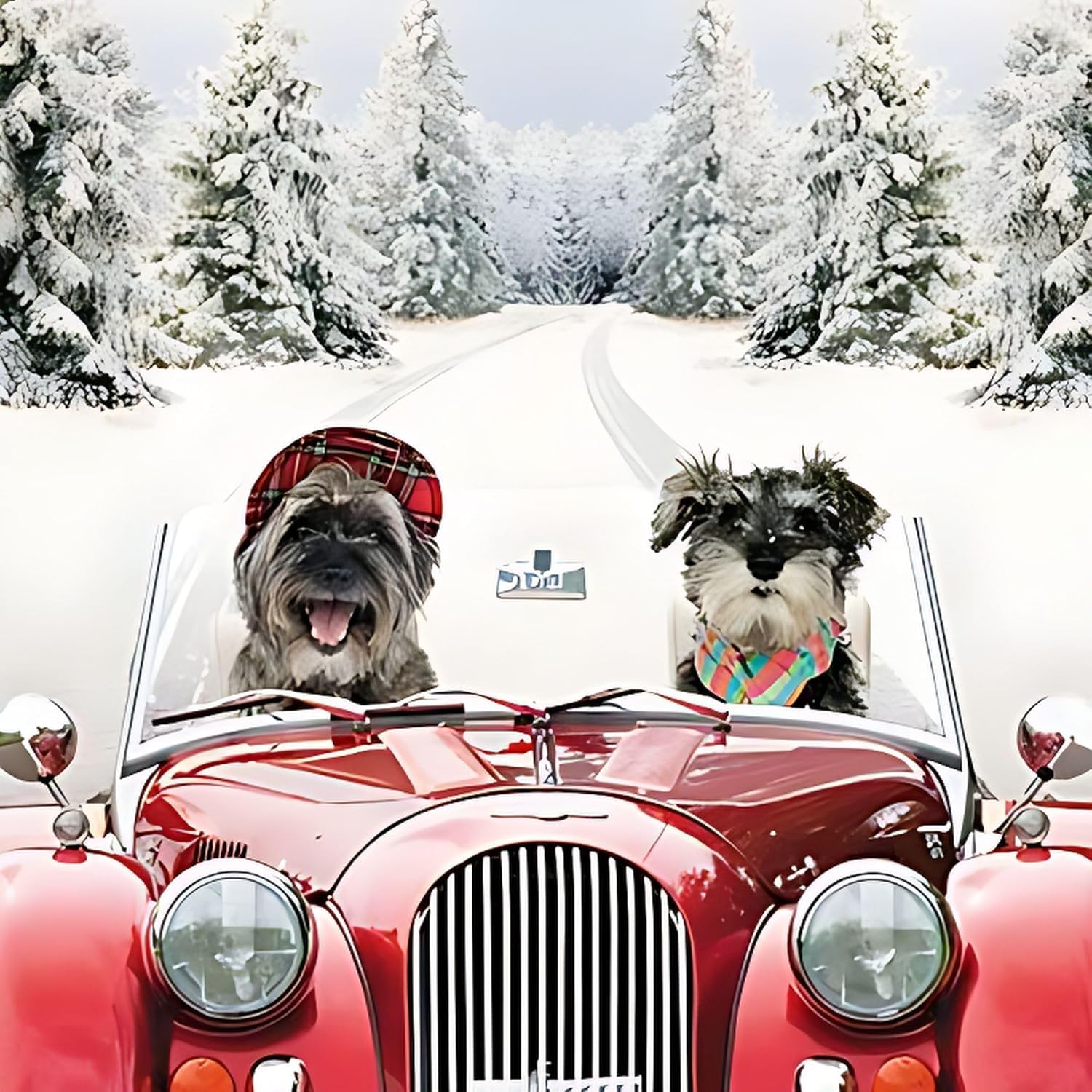 GBCC Charity Christmas Cards Box of 20 - Funny Festive Dogs in the Snow - Assorted Premium Greeting Cards Multipack with Envelopes - 10 Each of 2 Designs - Supporting UK Charities - Image 3