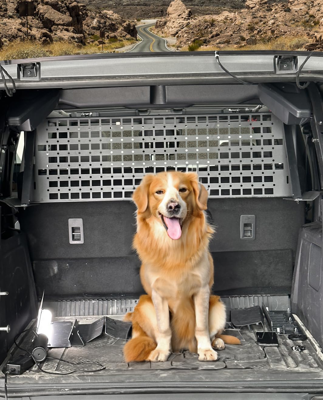 Pet Divider Molle Storage fit for Ford Bronco 4dr 2021 2022 2023 2024 2025 2026 Car Pet Barrier