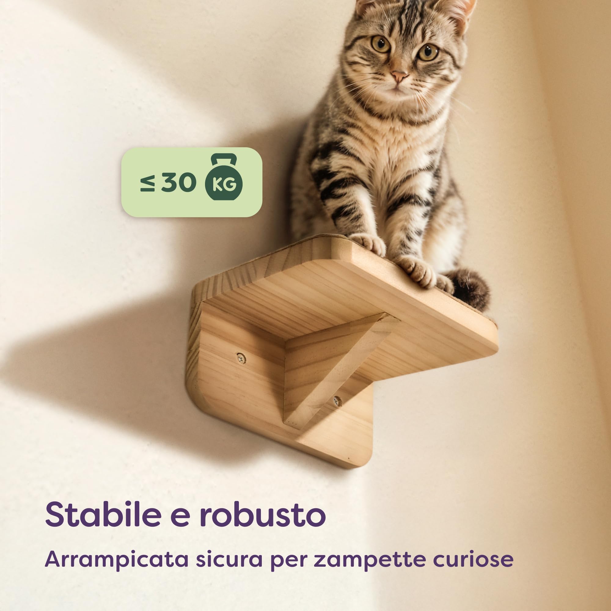 Knupis Percorso Gatti Da Parete - 3 Mensole Gatti Arrampicata in Legno Di Pino Fsc® - Tessuto Antiscivolo - Facile Da Montare - Capacità Di Carico Fino A 30 Kg (Beige)