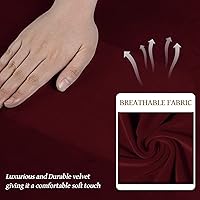 Vista 91 de WEERRW Fundas de terciopelo para sofá de 2 cojines, fundas de sofá de felpa de terciopelo de lujo de alta elasticidad, con parte inferior elástica