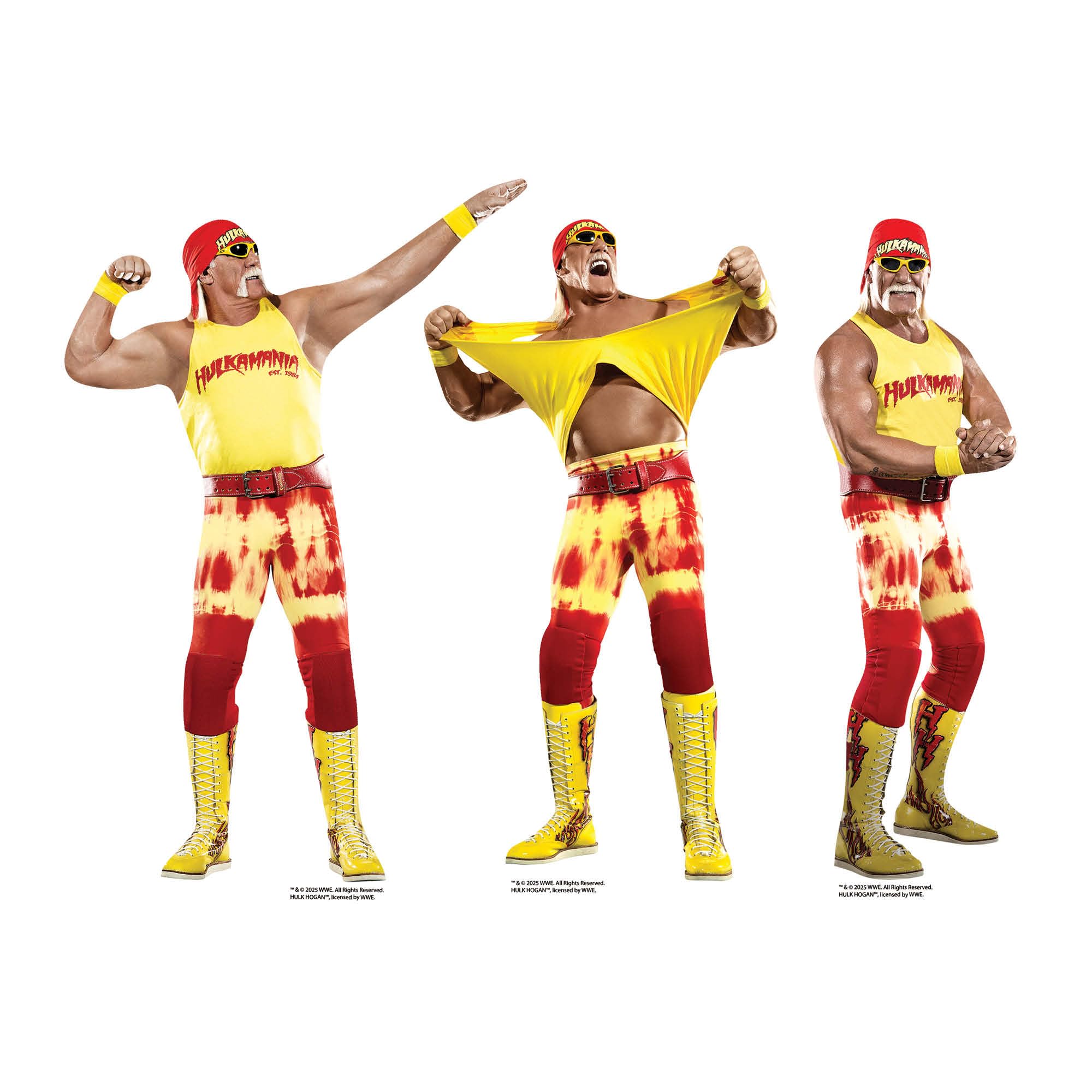 Star Cutouts SC4580 WWE Hulk Hogan Legend Shelf Top Cardboard Cutout 30cm – Wrestling Display Decoration & Fan Gift
