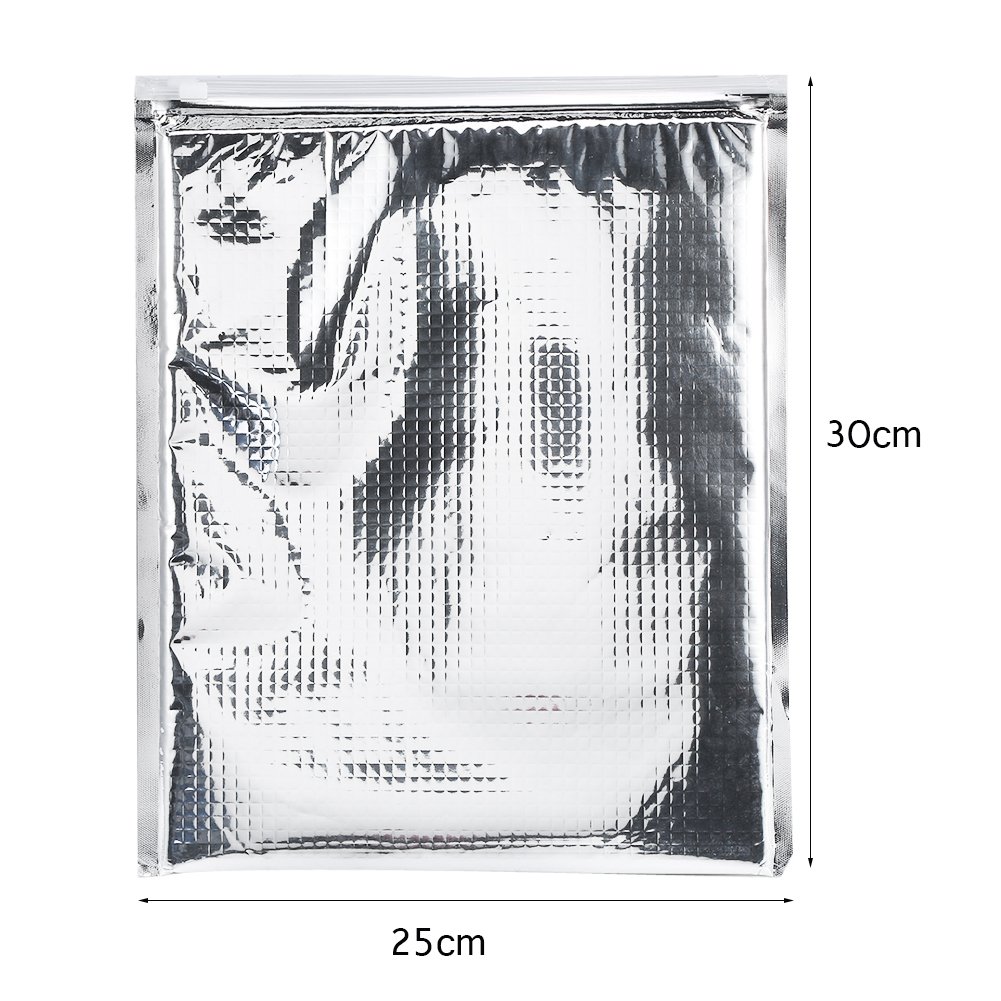 DEWIN Lot de 5 sacs alimentaires isothermes en aluminium pour pique-nique, déjeuner, voyage, camping, extérieur (25 x 30 cm), 25 x 30 cm., Moderne