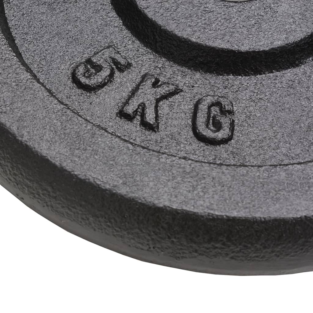 vidaXL 4x Hantelscheiben Gewichtsscheiben Hantel Gewichte Scheiben Hantelscheibenset für Langhantel Kurzhantel 4x5kg Guss Gusseisen Schwarz