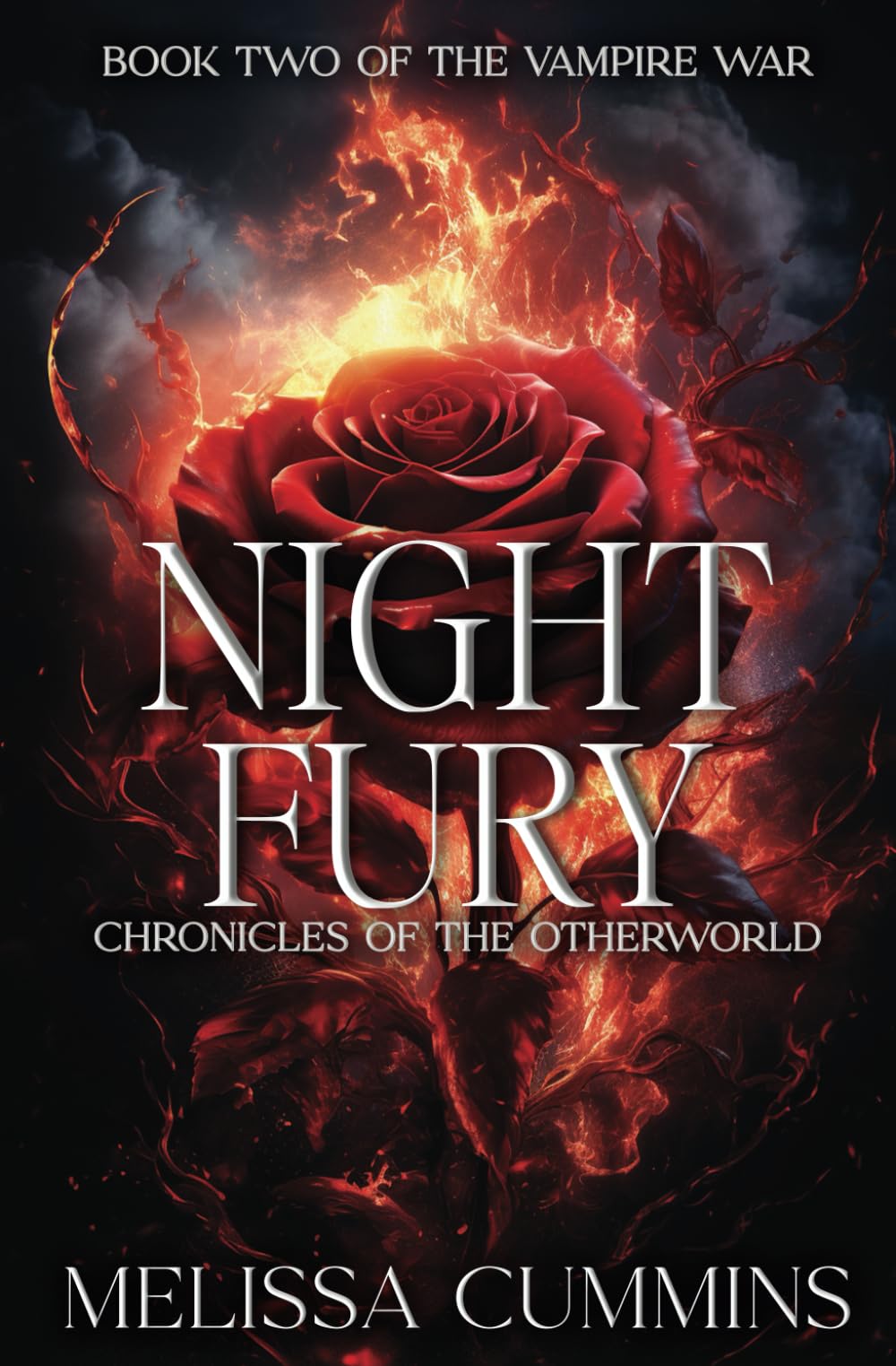 Night Fury: 2 (Chronicles of the Otherworld)