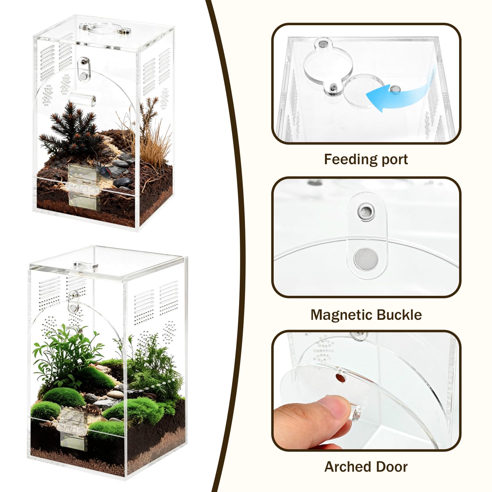 Confezione da 2 habitat per ragni che saltano, recinto per insetti, terrario per insetti, acquario arboreo in acrilico, contenitore trasparente per allevamento con porte magnetiche (kit di 2