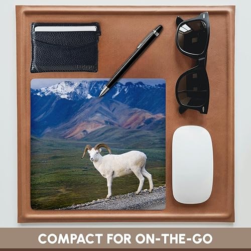 Miniatura 4 de 3dRose LLC - Alfombrilla de mouse Jerry Ginsberg (8 x 8 x 0,25), diseño de ovejas Denali Dall Sheep Wildlife Polychrome Pass (mp_87526_1)