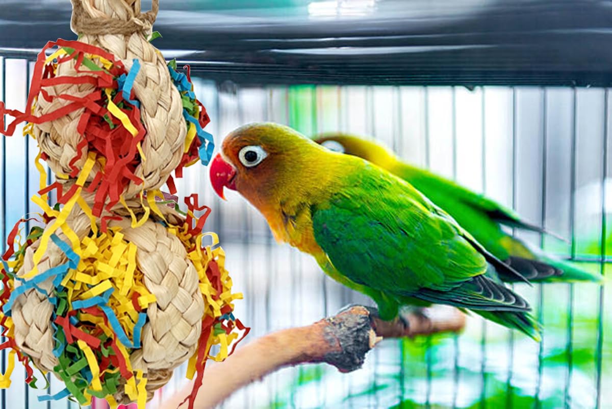 Natural Wood Parakeet Swing Toy, Cockatiel, Lovebird, Budgie Wooden Perch Stand, Small and Medium Bird Cage Accessories (Large) - image 3