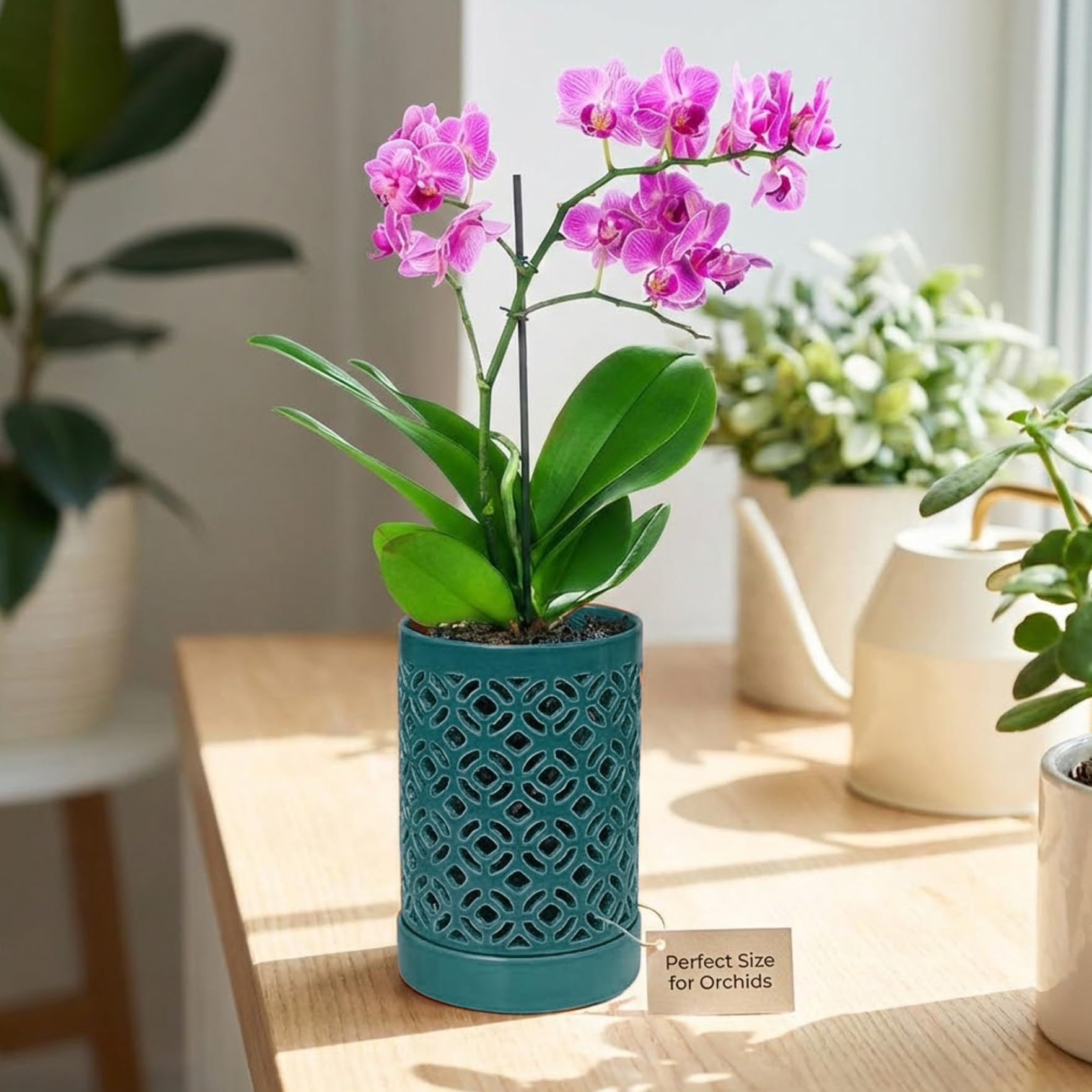 Faticenic Green Orchid Pots 5.5X4in Orchid Planter With Holes & Saucer & Drainage Ceramic Plant Pot For Indoor Outdoor Plants, Décoration De Jardin