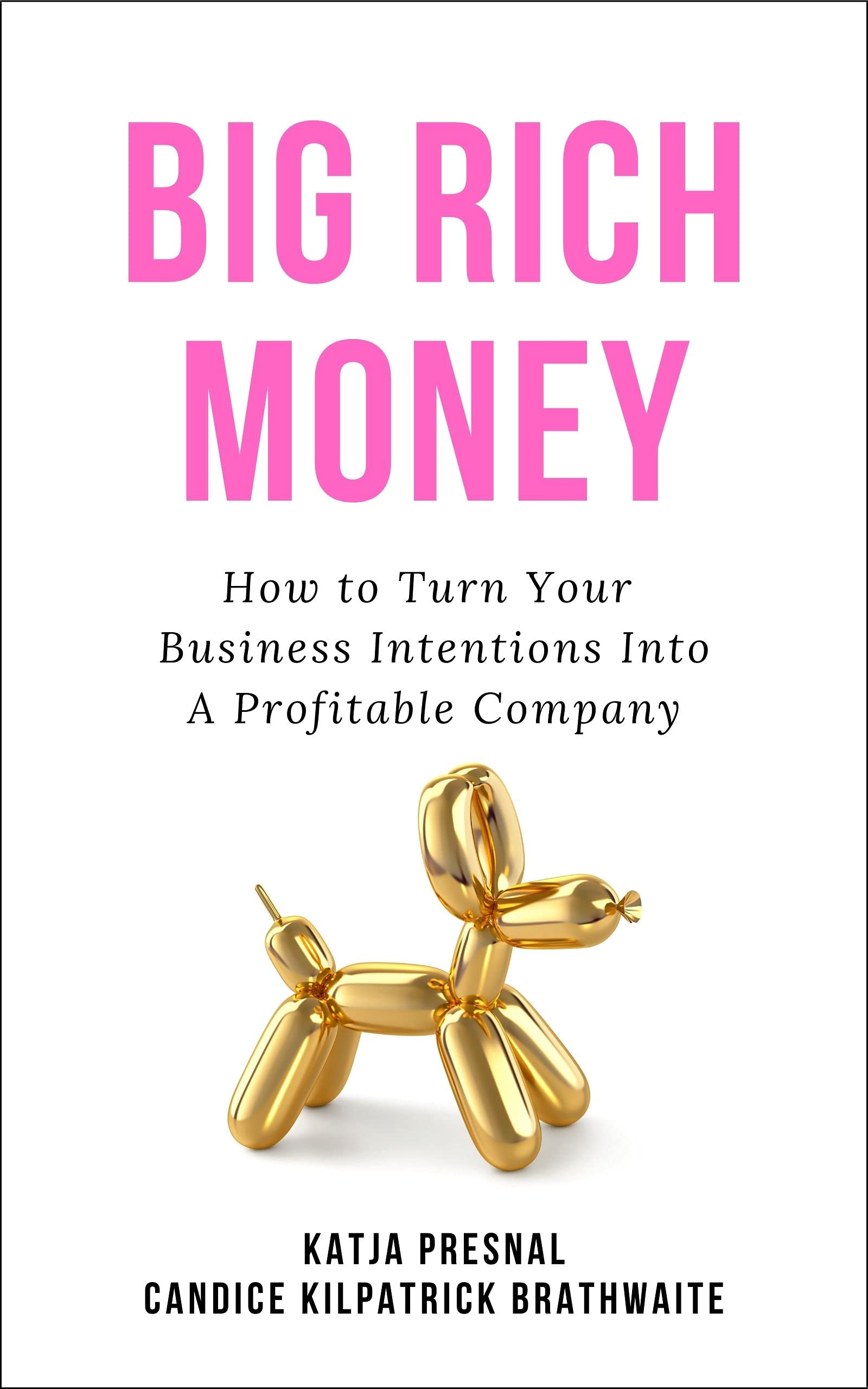 Big Rich Money: How To Turn Your Business Intentions Into A Profitable Company