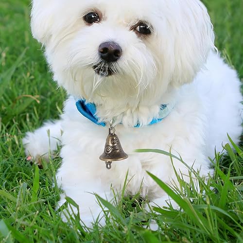 Miniatura 8 de DOITOOL 40 cascabeles para manualidades, pequeñas campanas vintage, mini campanas de manualidades para puertas de boda, collar de perro, joyería,