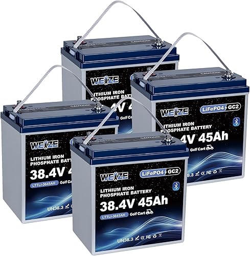 Miniatura 10 de WEIZE Batería LiFePO4 de doble propósito de 12V 60AH 800CCA, batería de litio de arranque del grupo 24 más rendimiento de ciclo profundo, BMS