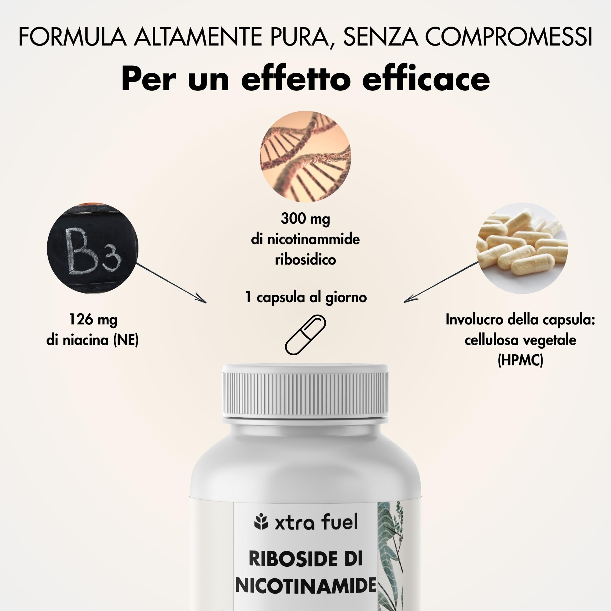 Complesso per il fegato - 180 capsule ad alto dosaggio - con cardo mariano (80% silimarina)