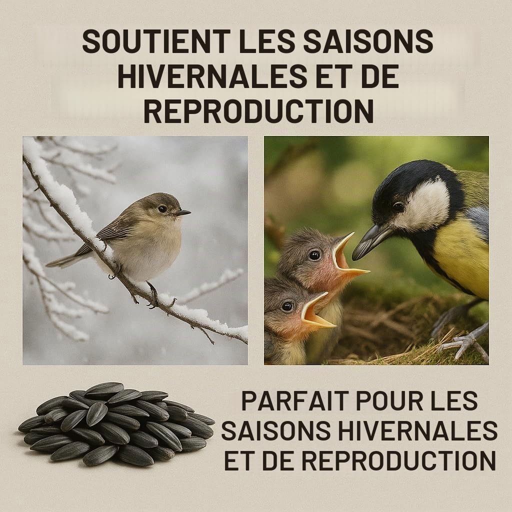 Graines de tournesol noir 25 kg pour oiseaux sauvages et petits animaux