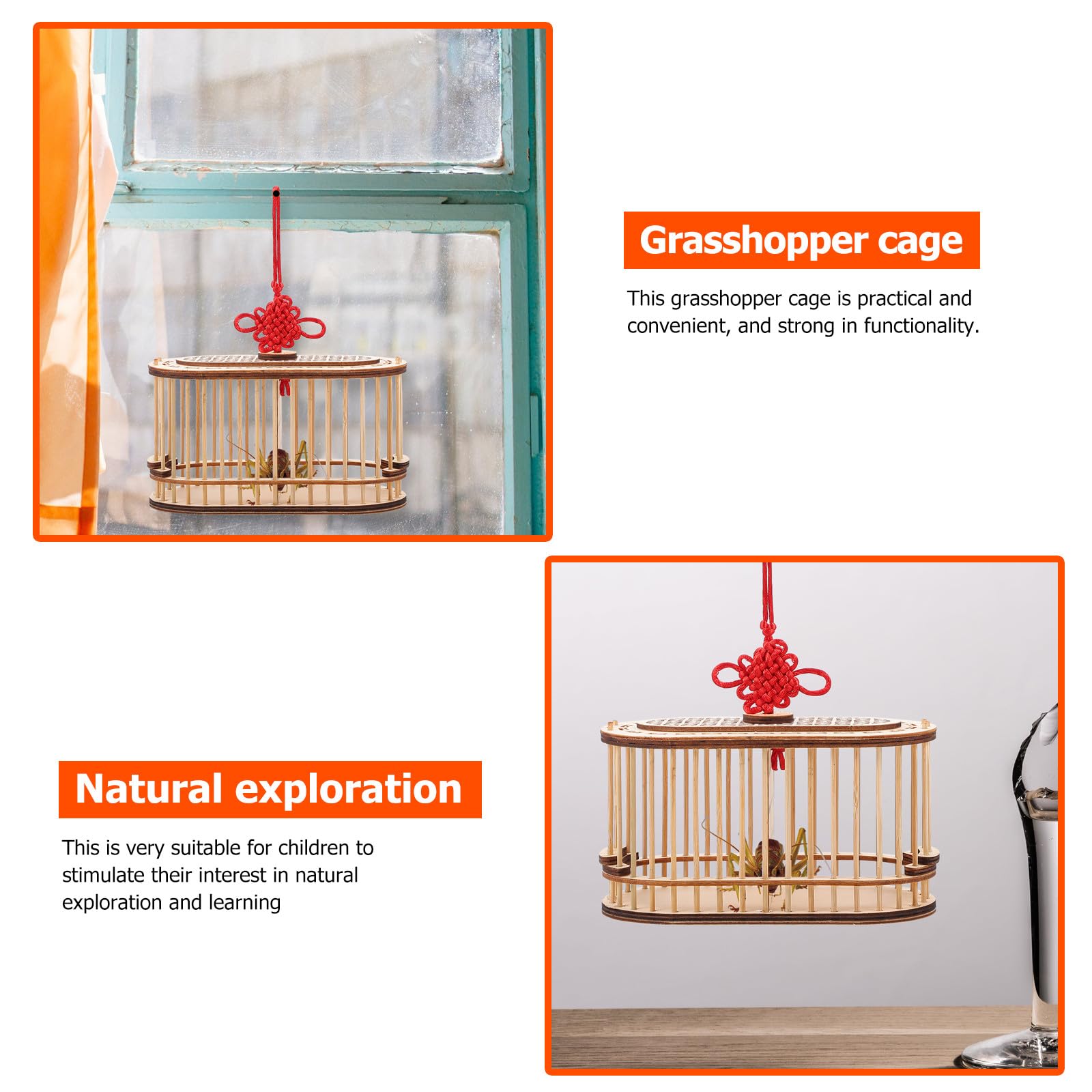 Jaula de Madera para Grillos Portátil, Doble Compartimento Ovalado, Pequeña y Ligera, Adecuado para Exteriores y Exploración Infantil, Caja de Almacenamiento Natural y Resistente