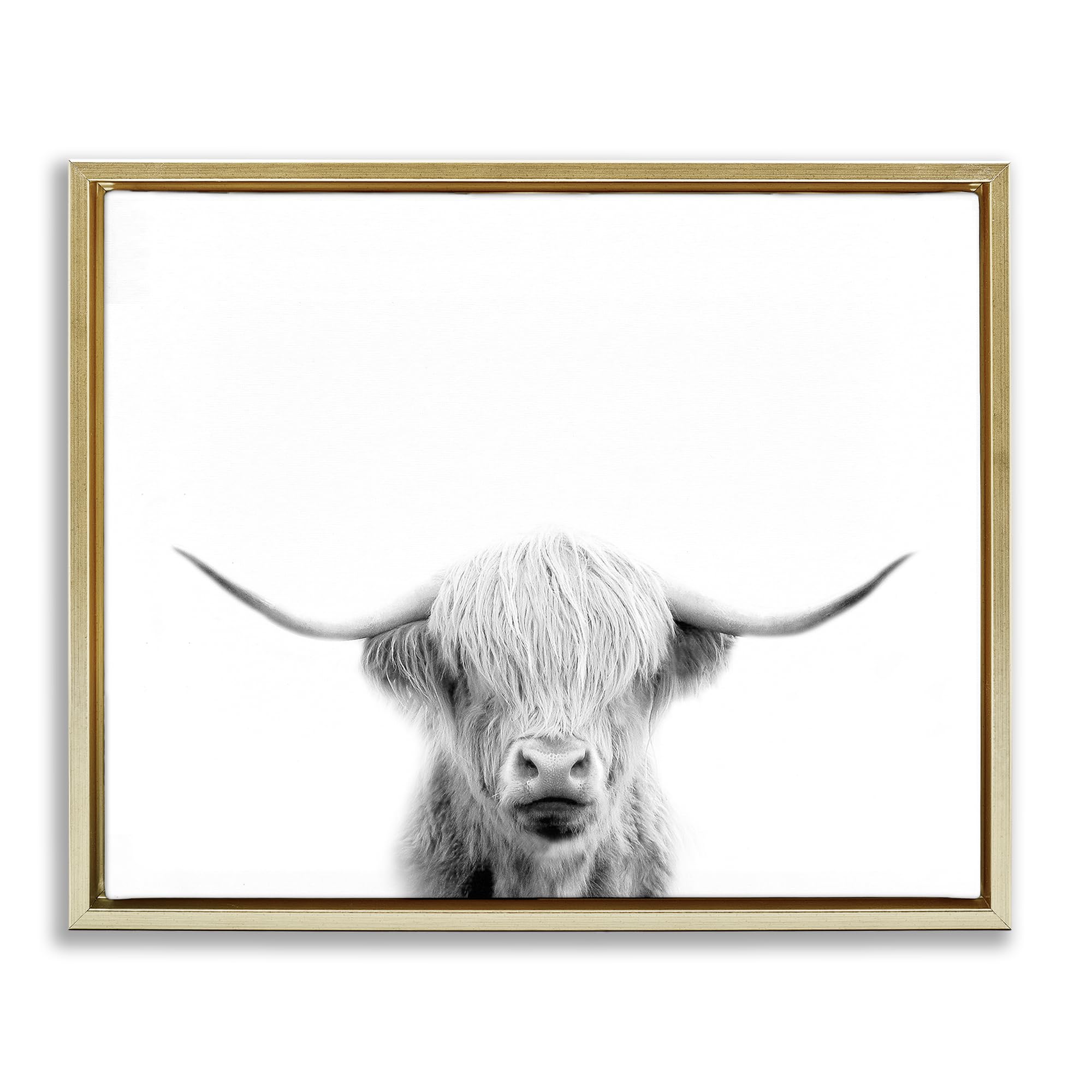 Stupell Industries 'Scottish Cow Portrait', Floating Frame Canvas Art, Gold, 31 x 25 Inches, Easy to Hang and Sturdy, Made in USA, by Leah Straatsma