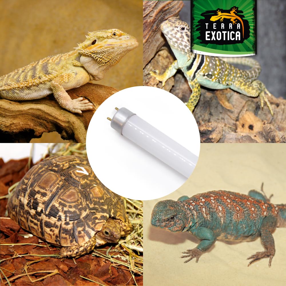 Terra Exotica Sunray Desert UV 10.0 - Leuchtstoffröhre mit hoher UV-B Abstrahlung - Ideal für tagaktive Reptilien der Wüsten- und Savannengebiete (30, Watt)