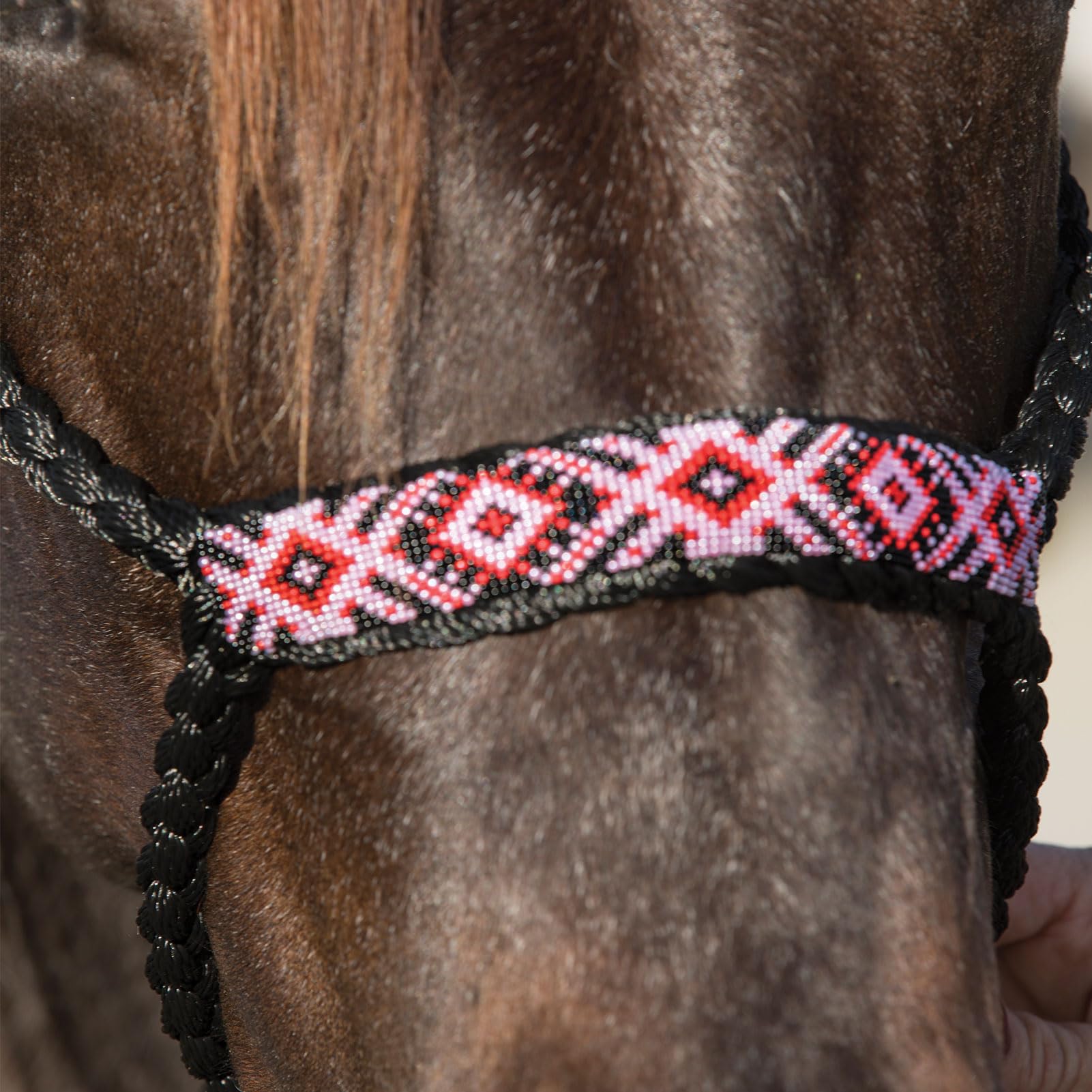 Professional`S Choice Cowboy geflochtenes schwarzes Halfter und Leine