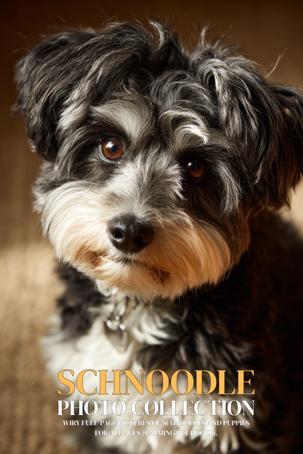 Schnoodle Photo Collection: Wiry Full-Page Pictures of Schnoodles and Puppies for All Ages (Calming Pet Books).