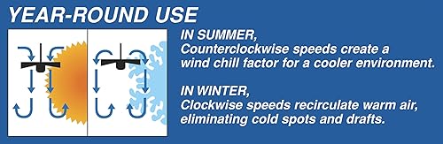 Miniatura 6 de Ventilador de techo con acabado en latón envejecido de Westinghouse, 52 pulgadas, 7802100, 65.0watts