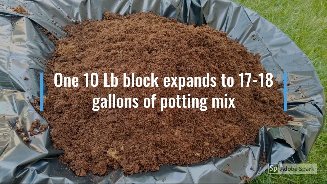 Deepthi Coco Peat Growing Medium - 10 Lb Compressed Block Brick - Coco Coir, Coco Peat, Coir Pith - Alternative to Peat Moss – Soilless Potting Mix - Low EC, Optimum pH, High Expansion : Patio, Lawn & Garden