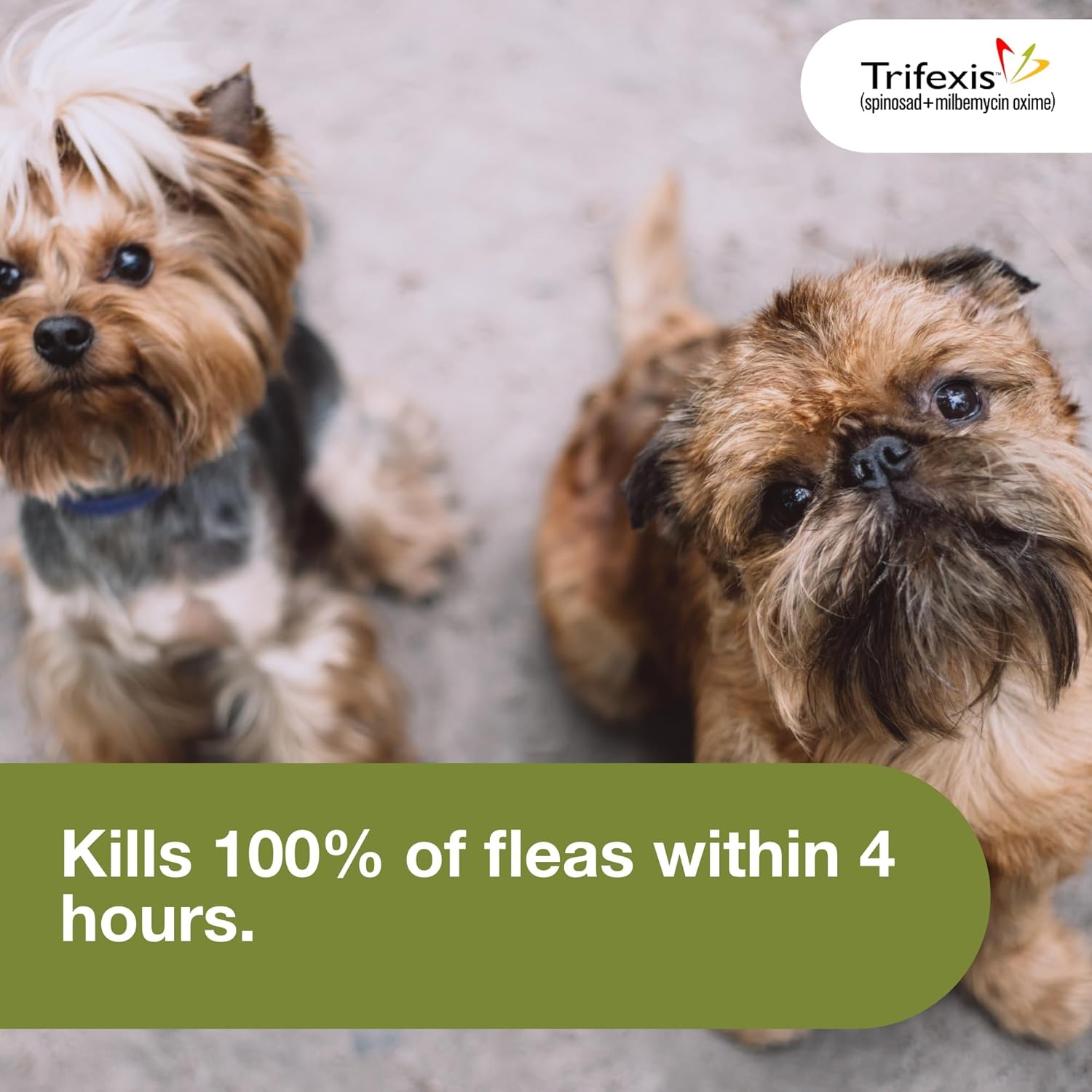 Trifexis Heartworm Prevention | Treats & Controls Flea Infestations + 4 Other Worms | Dogs 5-10 lbs. | 6 Chewables