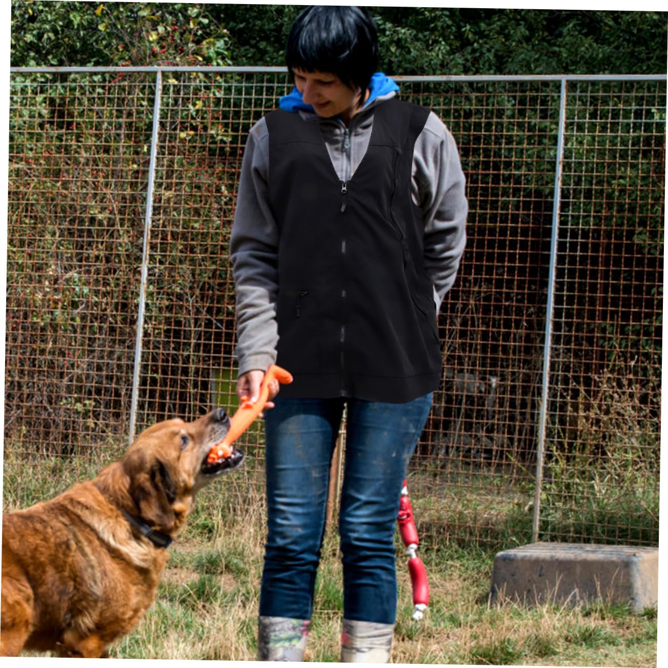 Gilet de Dresseur pour Chien Imperméable Noir en Polyester Mesh