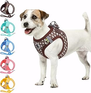 Savlot Hundegeschirr Welpengeschirr für kleine Hunde Step-in, Reflektierendes Atmungsaktiv Geschirr mit Y-Brustdesign für Extra Kleine Hunde wie Chihuahua, Welpen (XS-L) product image