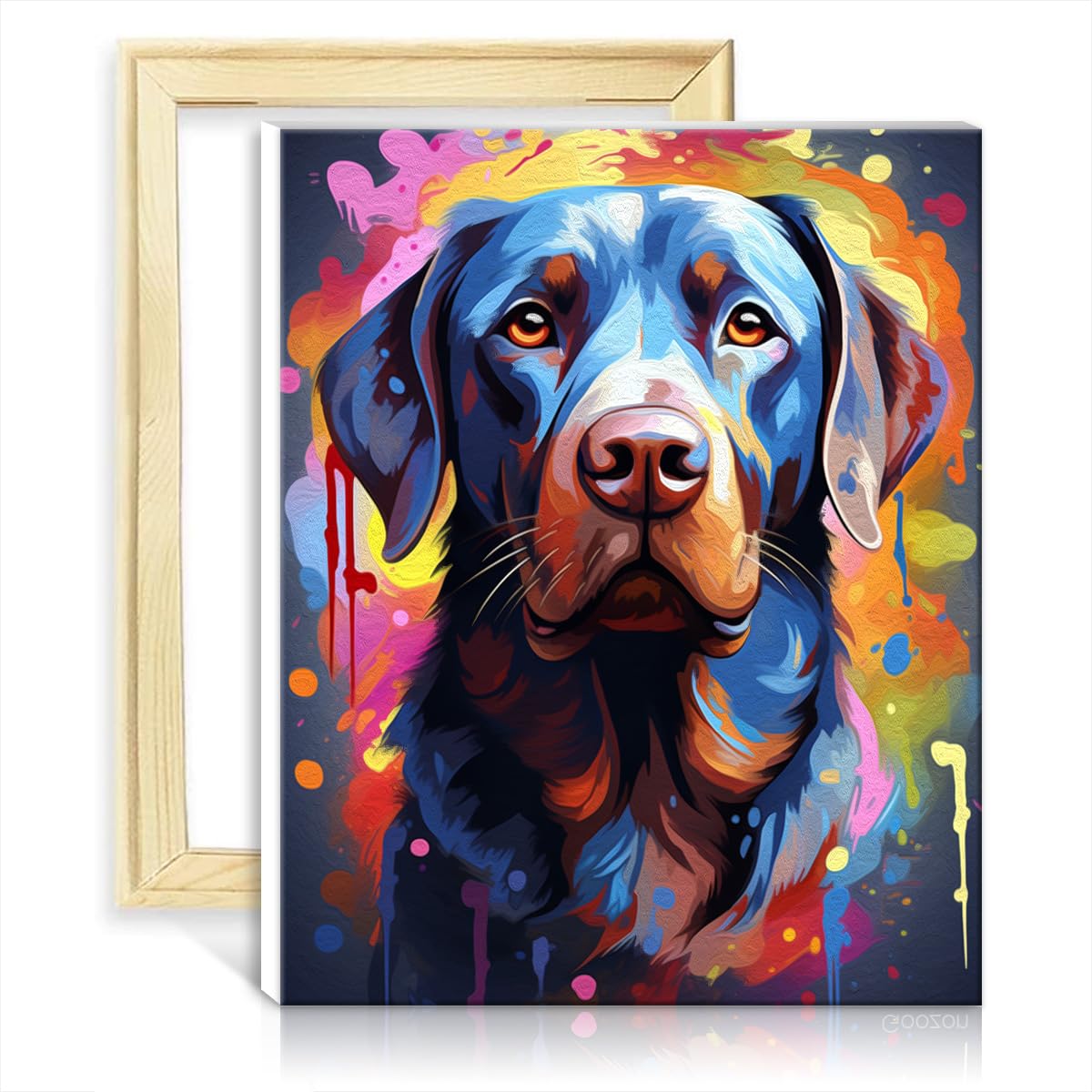 Tangfeiy As24 Painting Labrador Retriever Paint By Number Painting Labrador Retriever Oil Painting Diy Digital Art Artwork With Brushes And Acrylic Pigment On Artwork Adult Paint With Frame(30X40cm)