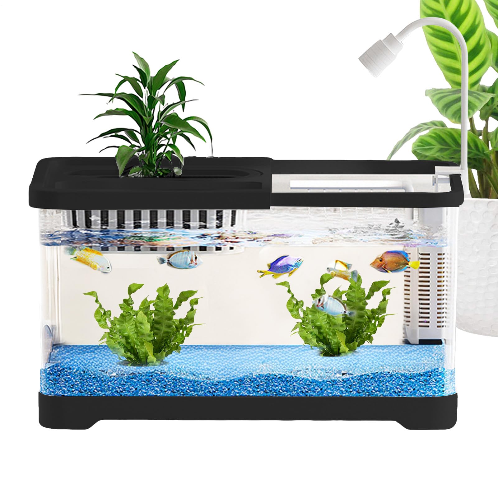 Aquarium bureau pour betta et crevettes idéal pour décorer votre salon