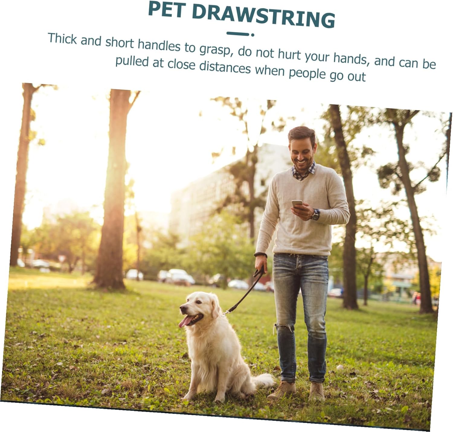 Pet Traction Rope for Dog Walking Training Flexible Hauling Leash for Small to Large Dogs Outdoor Safety Leash for Comfortable Control and Protection