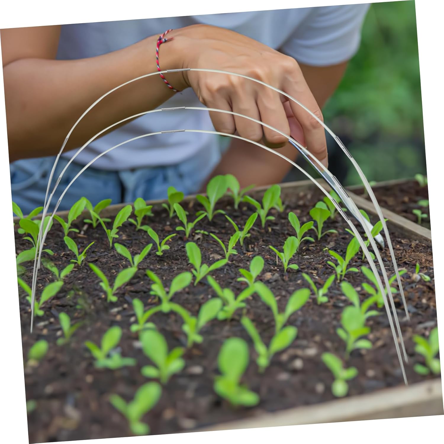 1set Garden for Raised Beds Super Bendable Fiberglass Support Frame for Greenhouse Cover Easy to Install Multipurpose Plant for Gardens and Agricultural Fields