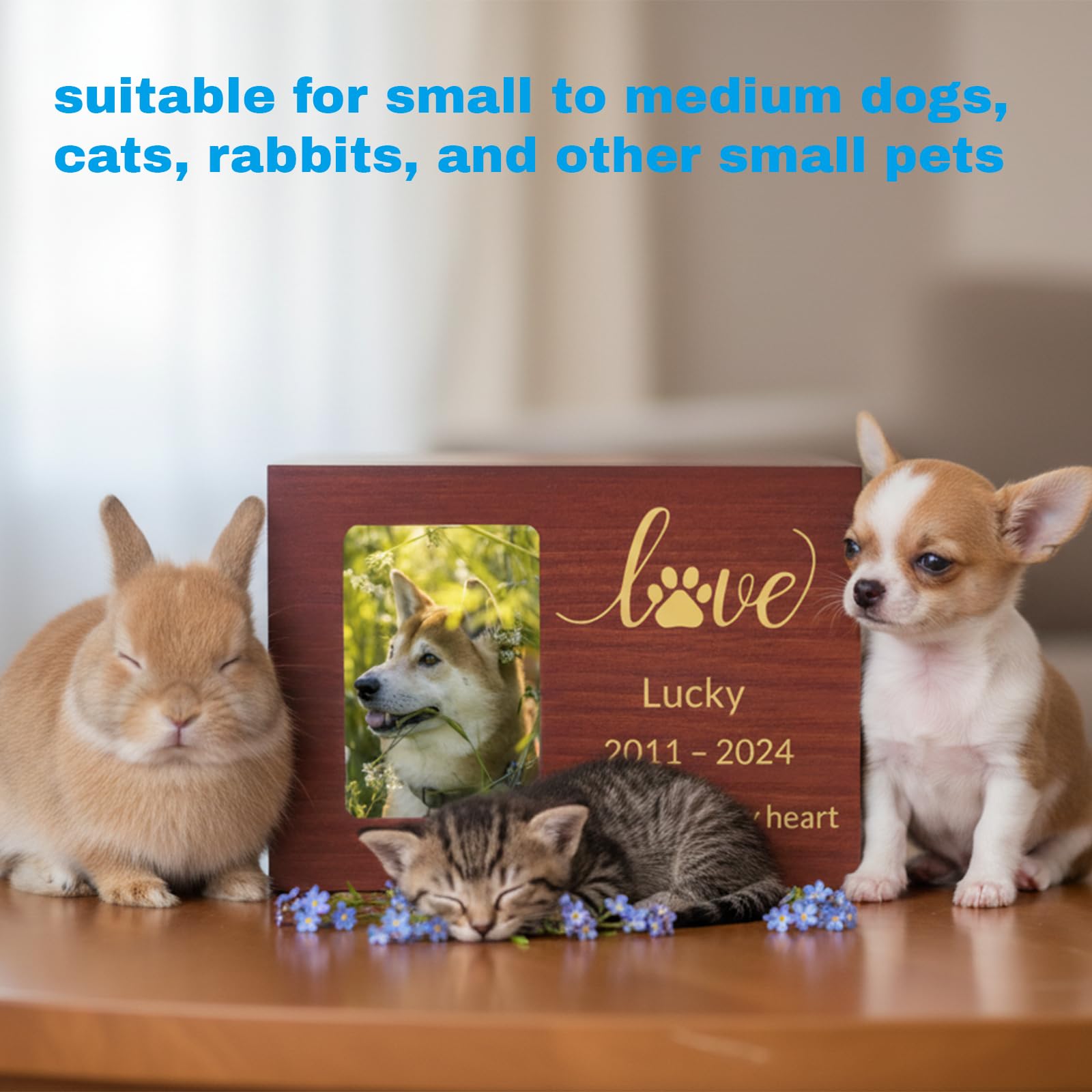 Urna commemorativa Personalizzata per Animali con Foto, Nome, Data e Testo inciso, in Legno o bambù di Dimensioni Medie per Cani, Gatti e Conigli (bambù)