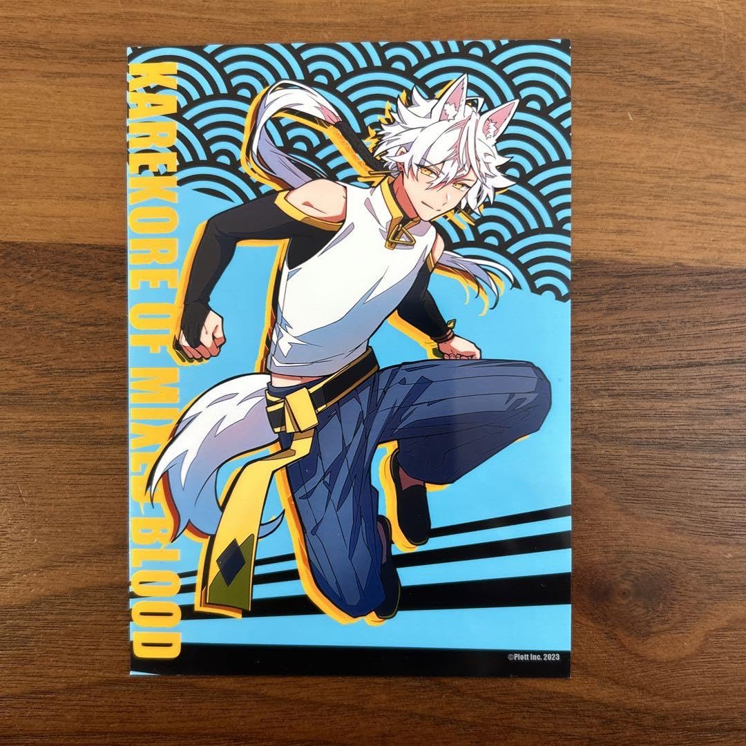 混血のカレコレ KR9　ブロマイド （L版） 混血のカレコレ屋 KR9 ブロマイド - メルカリ