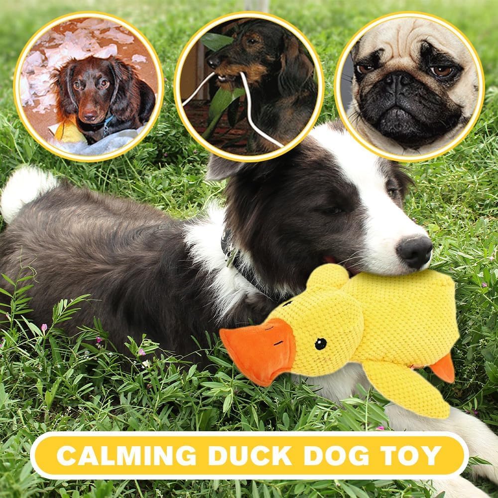 The Mellow Dog – Lot de 3 jouets à mâcher pour chiens d'intérieur – Canard calmant – Jouet en peluche durable jaune – Jouet à mâcher pour chiens d'intérieur