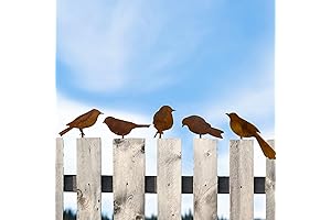 5PCS Metal Bird Sculpture with Rustic Finish, Lifelike Patina Bird Ornaments for Garden Decor