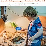 Ver la foto 6