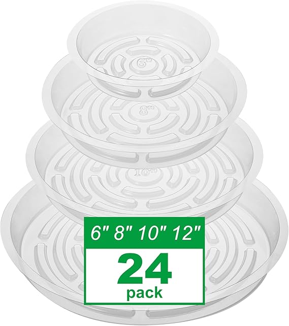 CATIFLIN clear plastic plant saucers in assorted round sizes