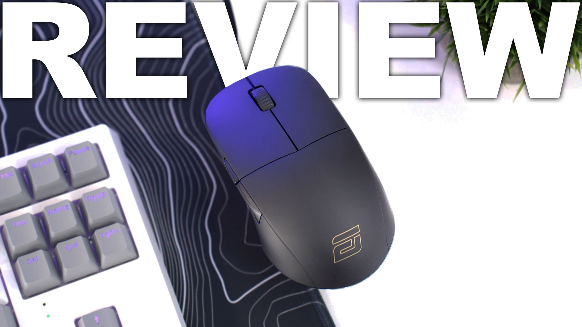 Watch Endgame Gear XM1R Gaming Mouse Review on Amazon Live