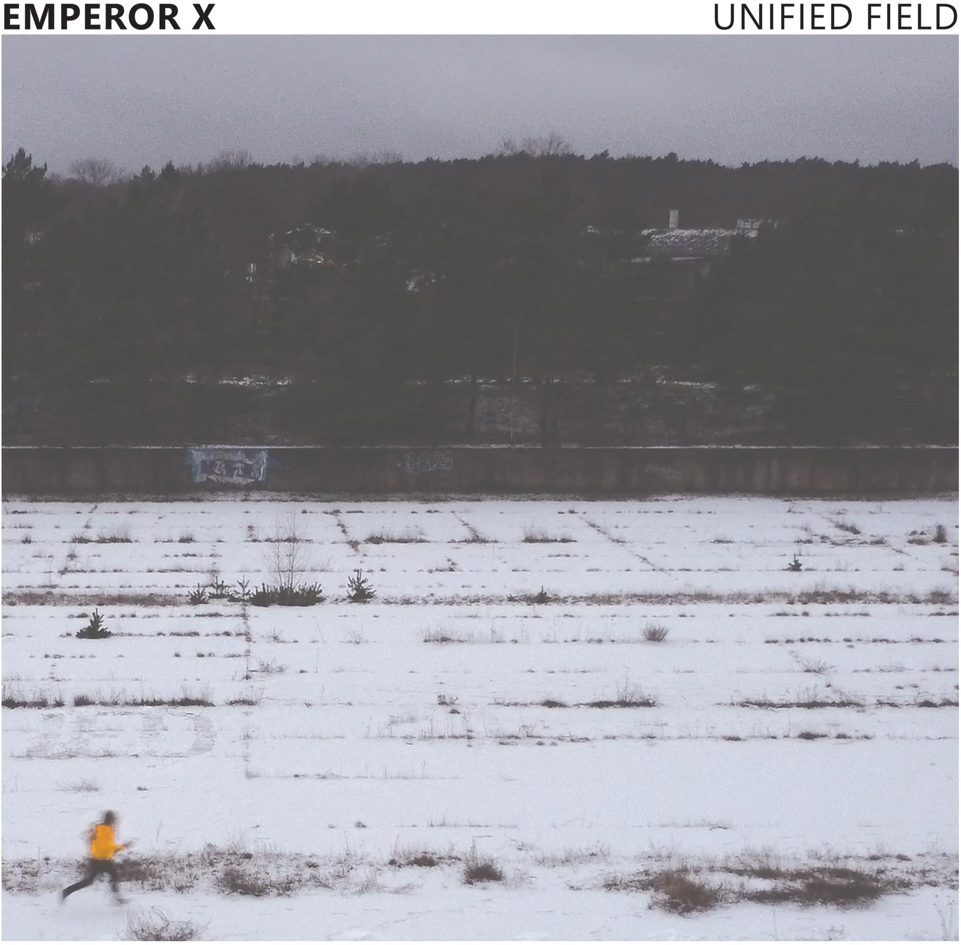 Unified Field