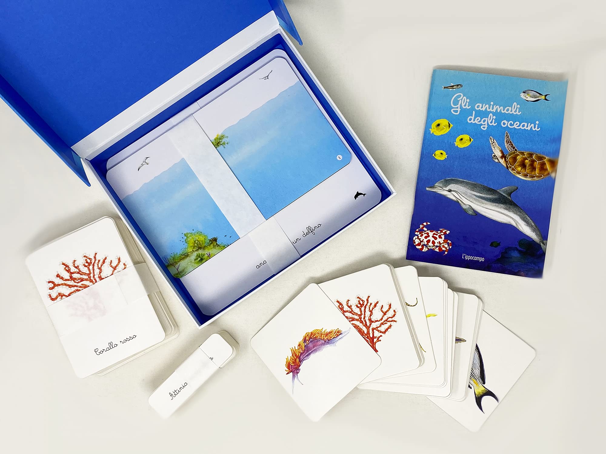 Il mio cofanetto Montessori degli oceani. Ediz. a colori. Con 90 carte degli animali. Con 5 carte degli strati dell’oceano. Con 43 etichette. Con 5 tavole anatomiche