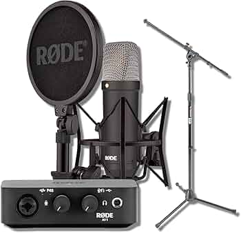 Amazon.com: Rode NT1 Signature Series - Black Condenser Microphone