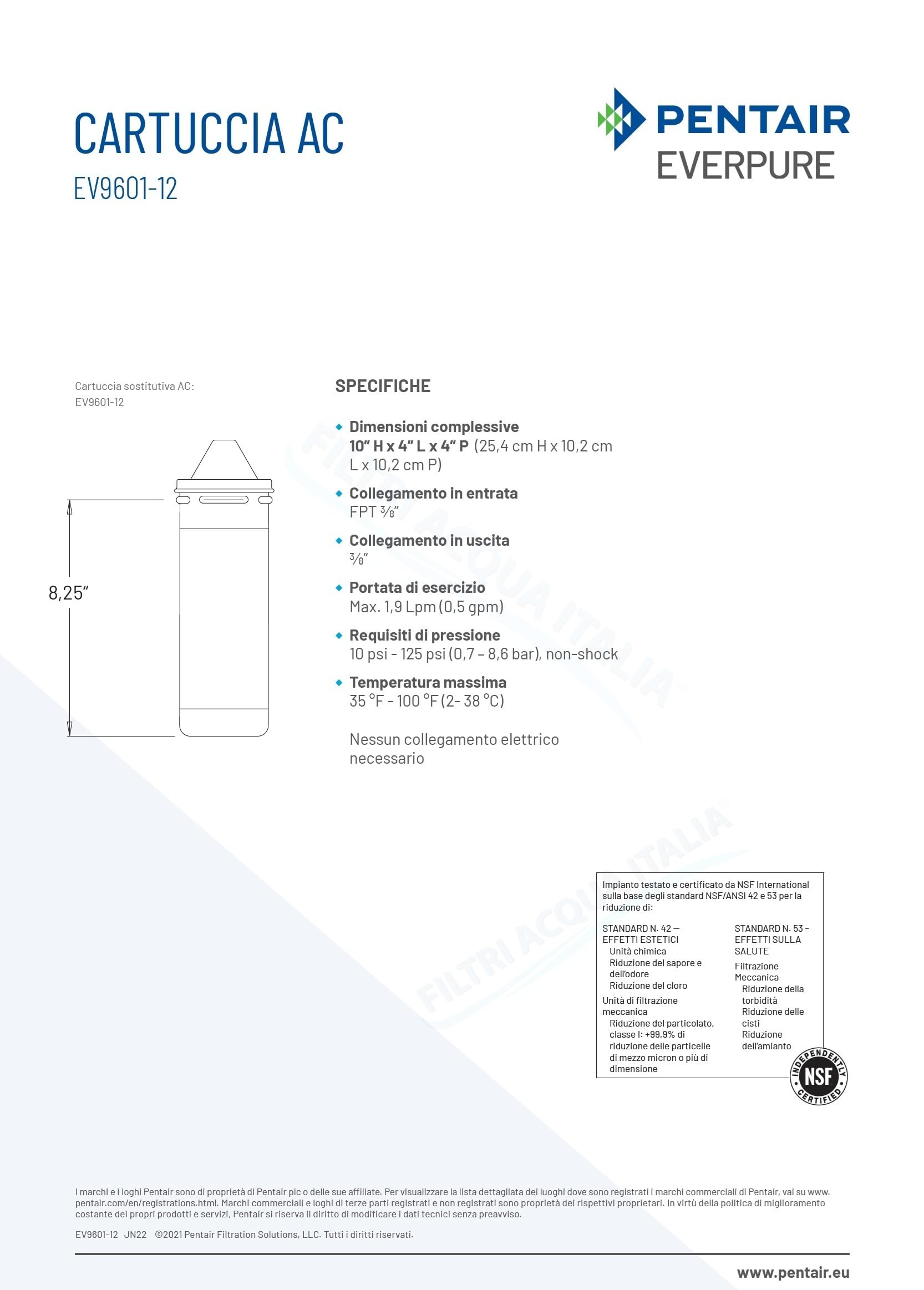Everpure AC EV9601-12 Ricambio Filtro Acqua