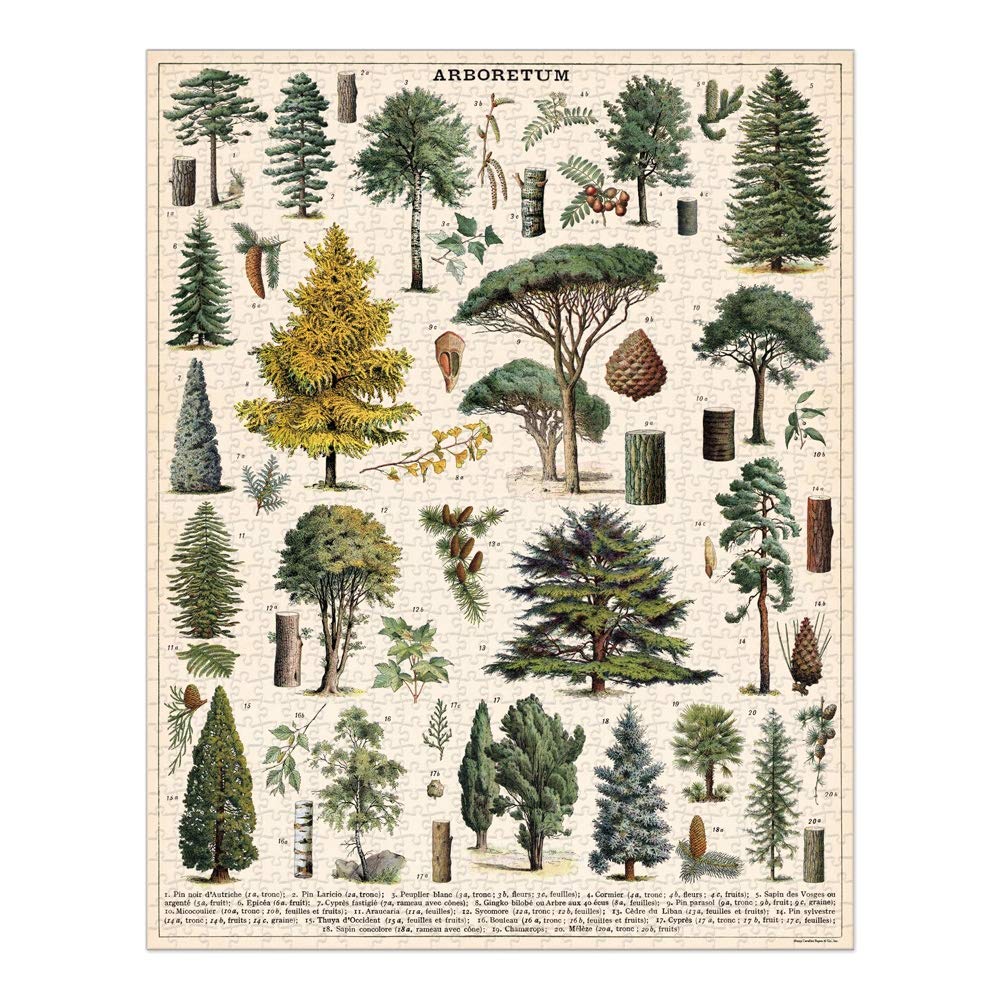 カヴァリーニ　ジグソーパズル　植物 Amazon.com: Cavallini 1000 Piece Puzzle, Flower Garden (PZL