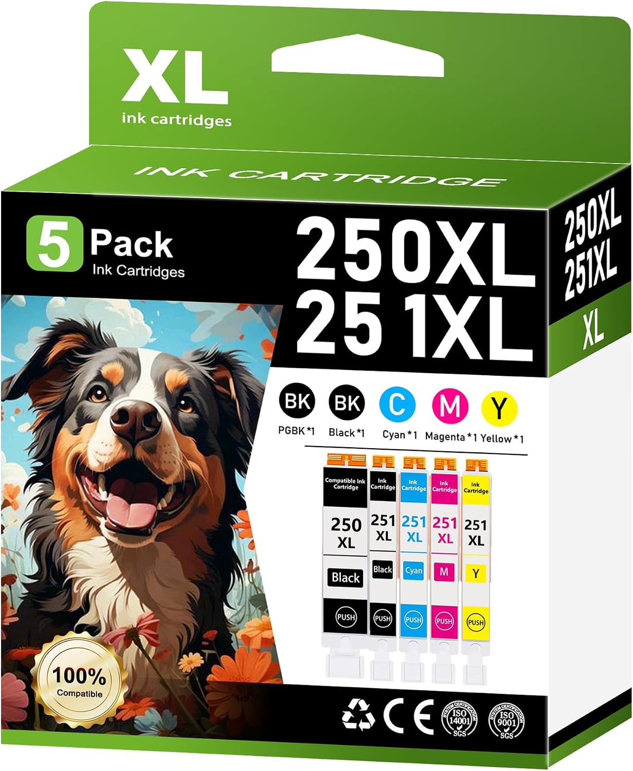 Amazon.com: PGI-250XL CLI-251XL Ink Cartridges (5 Color,1PGBK/1BK/1C/1M ...